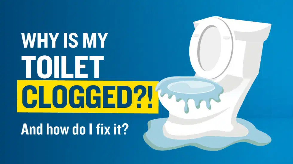 Cartoon illustration of an overflowing toilet with text reading "Why is my Toilet clogged?"