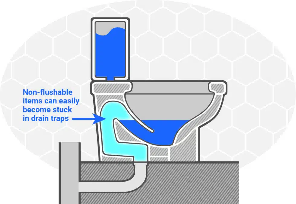 An infographic showing the layout of a toilet, how it works, and where many clogs happen